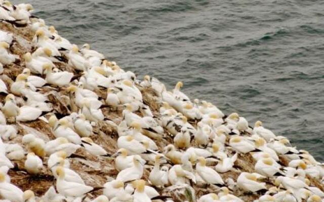 The Convent Guesthouse