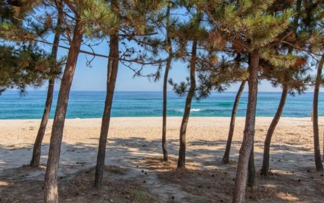 Gangneung The Blue Pension