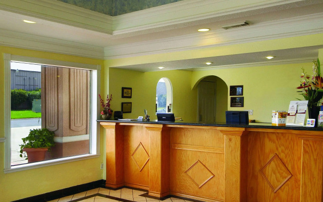 Hotel McCoy - Art, Libations, Pool Society