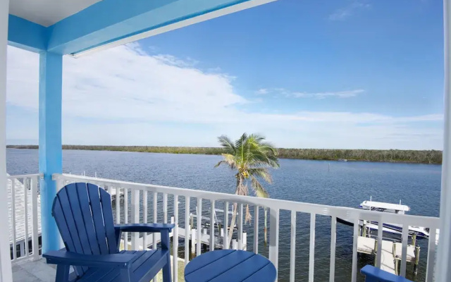 Blue Dolphin View