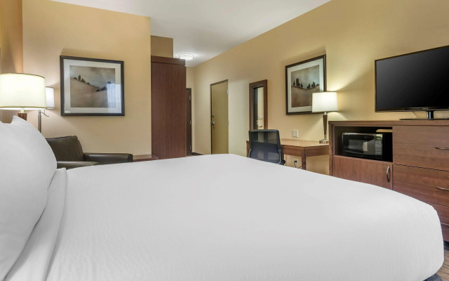 Best Western Plus Bathurst Hotel & Suites