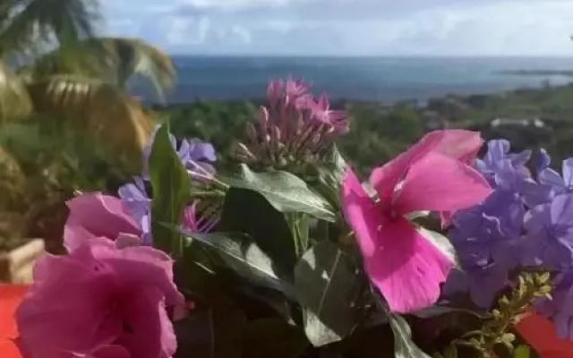 Clos Moana Ocean Sud-Est