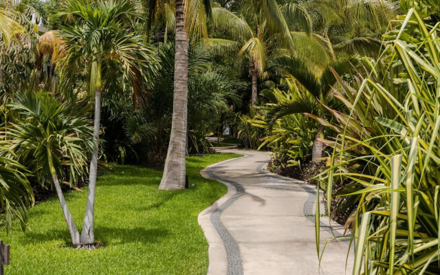 Soul Spring Sanctuary Cuernavaca