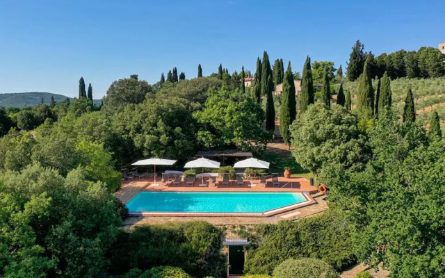 Oliveta a Retreat Surrounded by Olive Trees