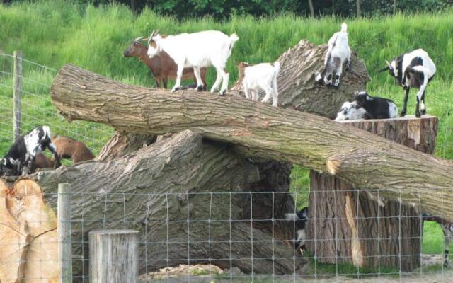Schuppen recreatie