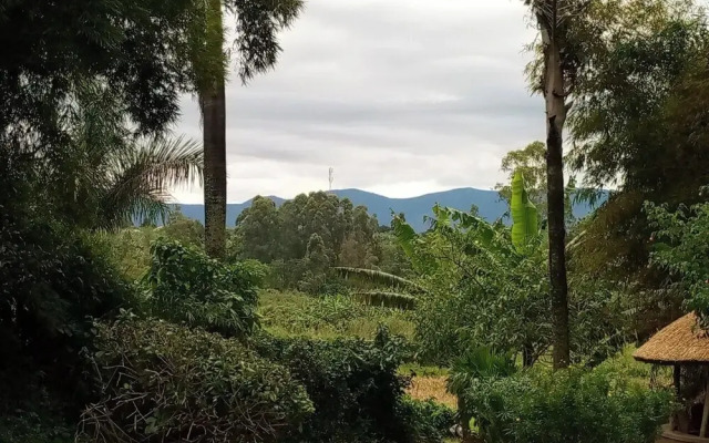Ruwenzori View Guest House