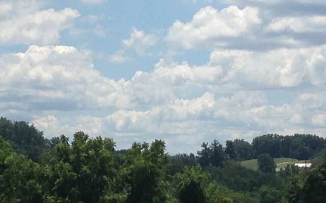 The Dragonfly Bed and Breakfast