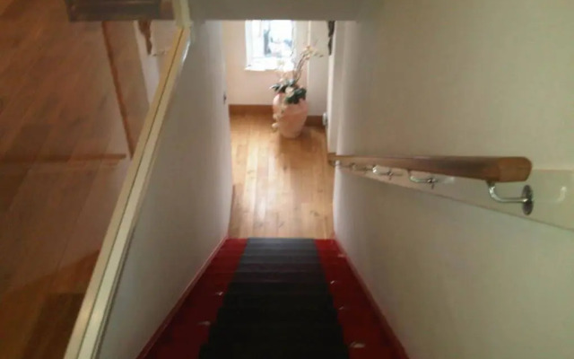 Acer Guest House