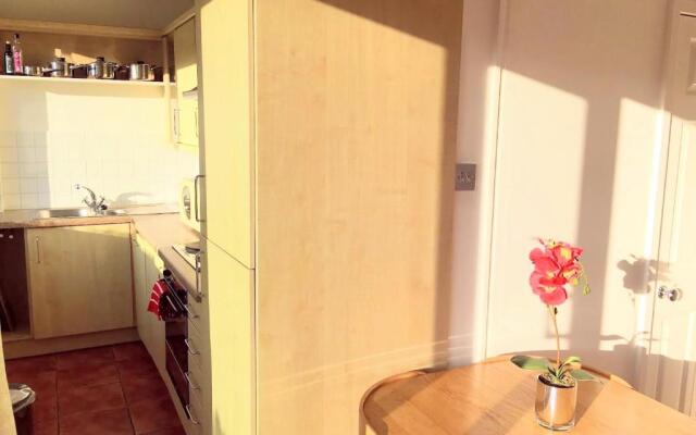 W1 Penthouse w Terrace