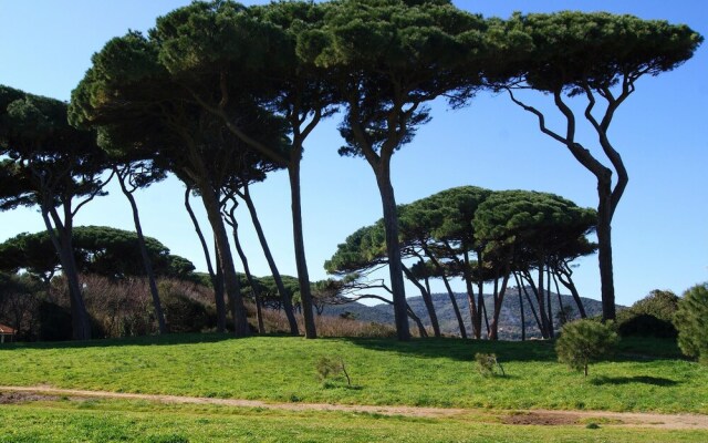 Awesome Apartment in Follonica With Wifi and 2 Bedrooms