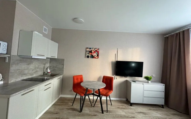 Апартаменты ДеньНочь на ул. Петра Подзолкова д. 24