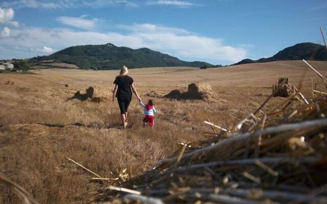 Casa Olivo Agriturismo Le Selvole - Tuscany