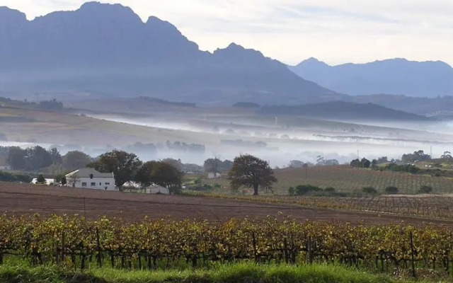 Allegria Guesthouse & Vineyard