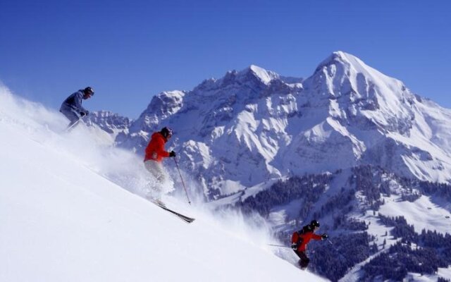 Ferienwohnung Ravinel I AP 1