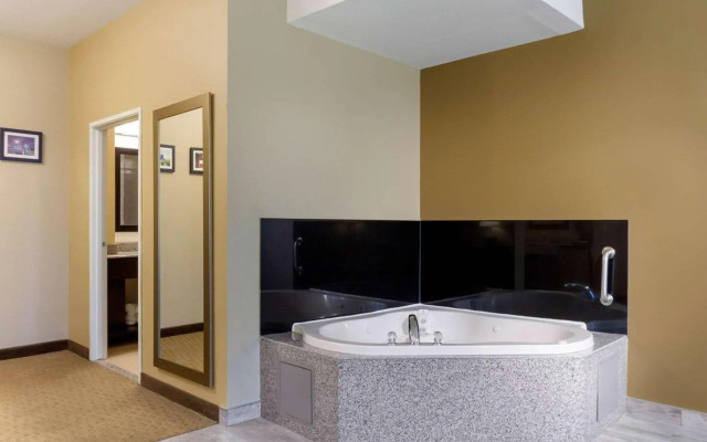 Comfort Inn & Suites Amarillo East