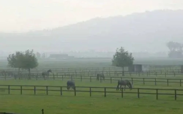 B&Logies Au-Galop