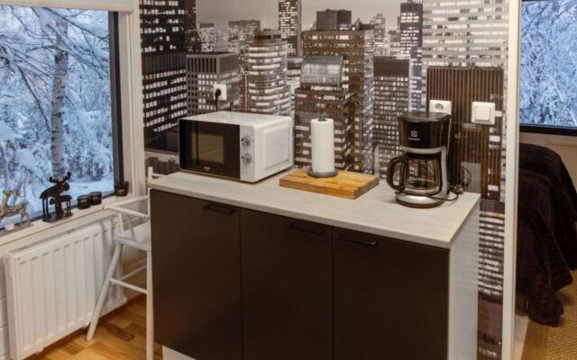 Mustalampi 3 lintukoto