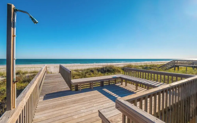 Blue Crab by Topsail Realty
