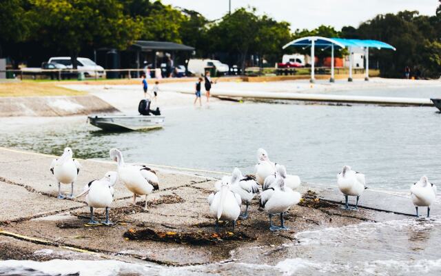 Jacobs Well Tourist Park