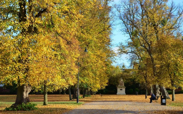 Montpellier Townhouse and Apartments