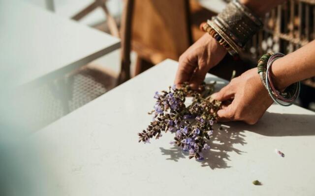 Aelia Wellness Retreat