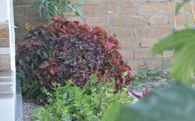 New Arisen Bungalows