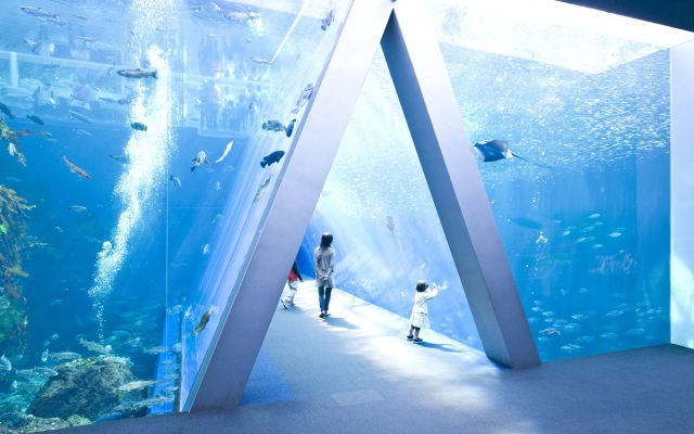 Spa Resort Hawaiians Hotel Hawaiians