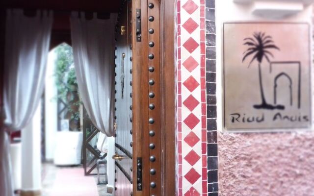 Riad Anais Medina
