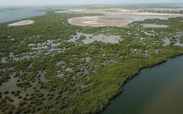 Le Pelican du Saloum