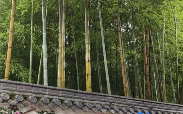 Qingyang Kangyuan Farm – Outside – Chizhou