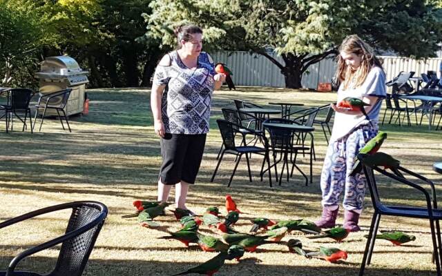 Eildon Parkview Motor Inn