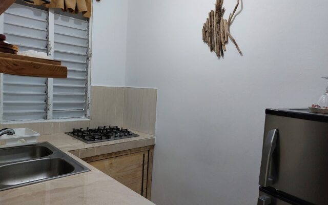 Family Apartment - Apartment 5 in Villa Coconut
