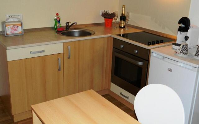 Apartament Confort Timisoara
