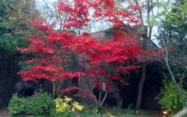 225 Lakeland Bed and Breakfast.