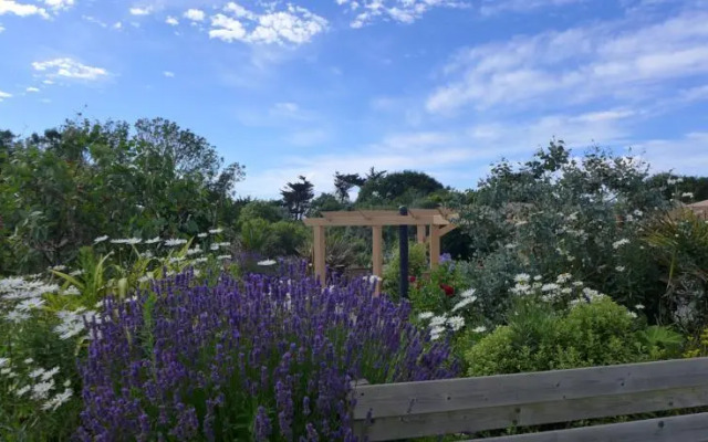 Au Jardin de la Nymphe Bleue