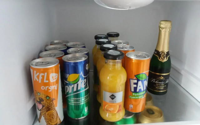 Apartmán se zahrádkou v krásné čtvrti Berouna