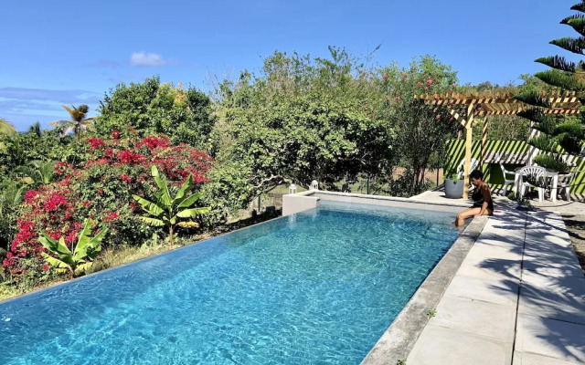 A Paradise View