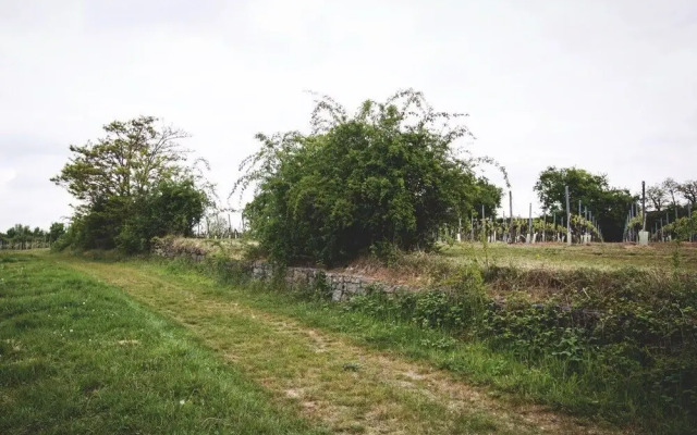 Weingut & Landhotel Lucashof