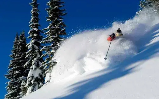 Erlebnisgasthof Alpina