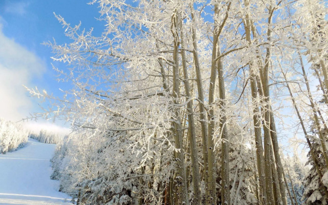 Country Inn & Suites by Radisson, Flagstaff, AZ