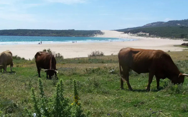 Vivienda Turística de Alojamiento Rural Cilla Vieja