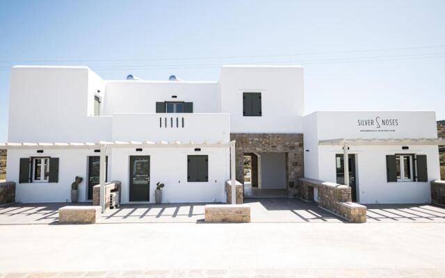 SilvAir I by Silvernoses, Mykonos