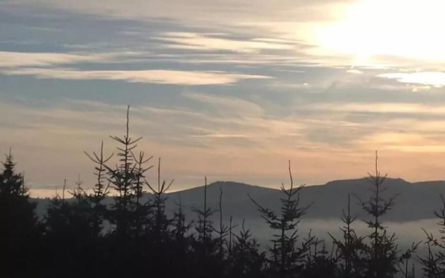 The elbowroom escape