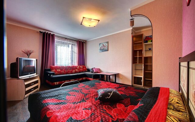 U Ledovogo Dvortsa Apartments