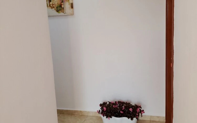 Vila Malo