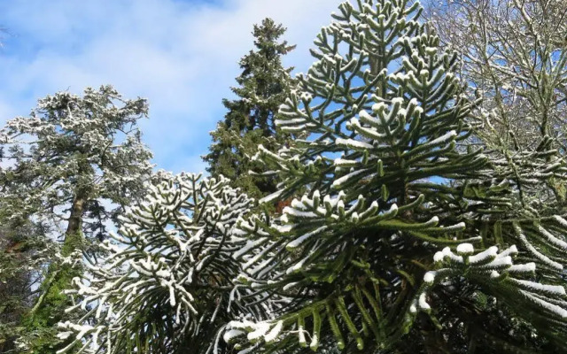 Pitlochry Dundarach Hotel