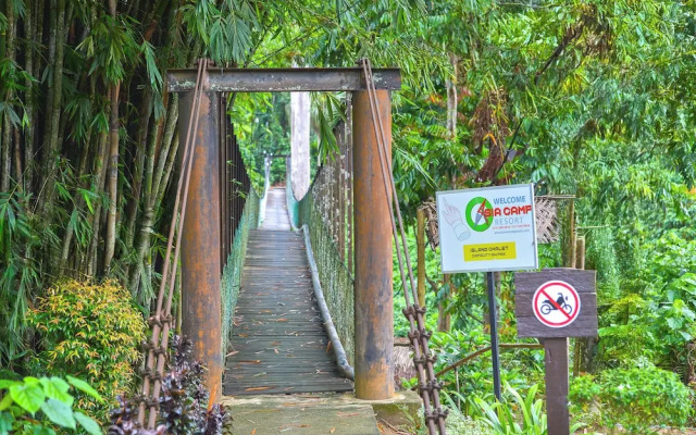 Hotel O Asiacamp Resort National Park Kuala Tahan