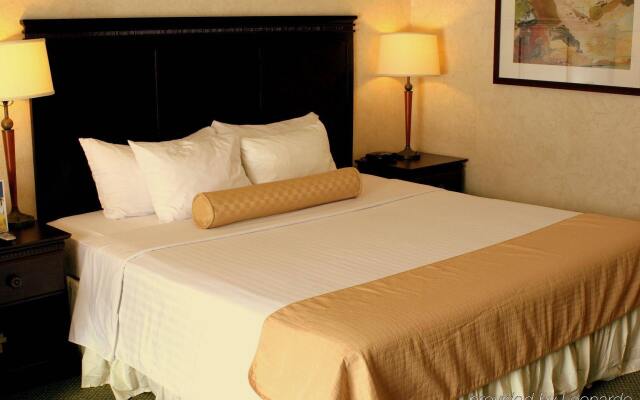 Best Western Rockaway Hotel