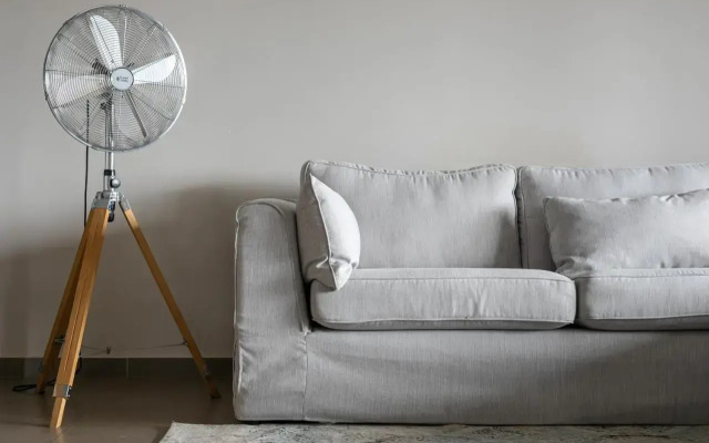 Jacana Estate, The Gem