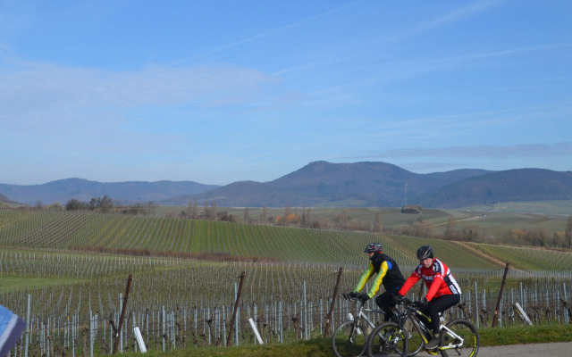 Hotel & Restaurant Castell